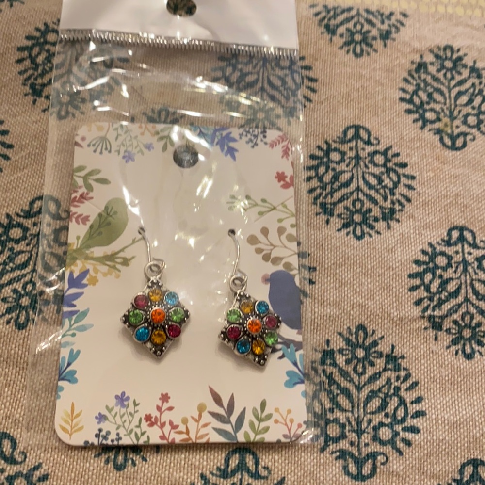 Multi colored earrings